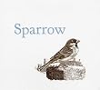 Sparrow