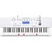 CASIO ���i�r�Q�[�V�����L�[�{�[�h 61�W������ LK-211