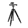 Velbon �J�[�{���O�r Geo Carmagne N545  �J�[�{�����^�O�r �f�W�^����჌�t �O�r