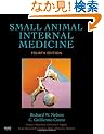 Small Animal Internal Medicine, 4e (Small Animal Medicine)