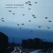 anorak shoegazer