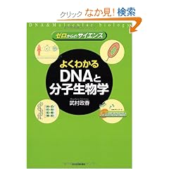 �q�[������̃T�C�G���X�r�悭�킩��DNA�ƕ��q�����w
