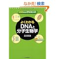 �q�[������̃T�C�G���X�r�悭�킩��DNA�ƕ��q�����w