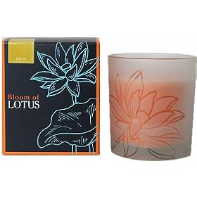 �u���[�� �I�u ���[�^�X �t���O�����X�L�����h�� �l���� 150g