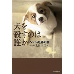 �����E���̂͒N���@�y�b�g���ʂ̈�