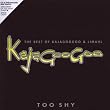 Too Shy: the Best of Kajagoogoo and Limahl/+DVD