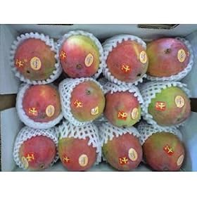 ���L�V�R�Y�}���S�[���10~12����