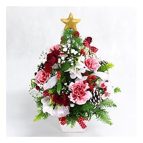 �y�t�����[�t�@�[���z �t�F�A���[�e�C��