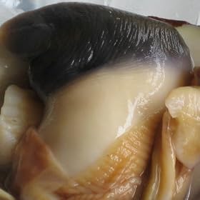 �k�C���Ϗ��q�Y�@�ق����L