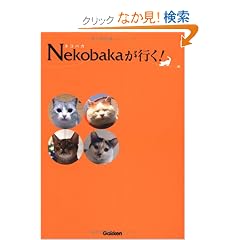 Nekobaka(�l�R�o�J)���s��!