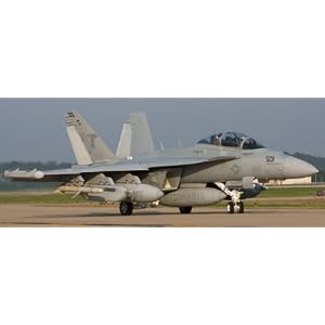 【クリックで詳細表示】1/48 EA-18G グラウラー ＂ロービジ＂