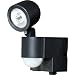 ELPA ���d�r��LED�Z���T�[���C�g1�� ESL-101BT(BK)