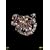 ���N�����P���T�b�N �f���b�N�X�E�G�f�B�V���� [DVD]