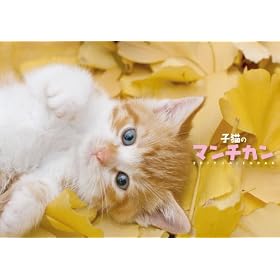 �q�L�̃}���`�J�� 2012�N����ް