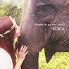 KOKIA�̃A���o���̉摜