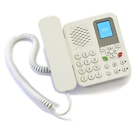 �G���A�C�r�[ Desktop Internert Phone for Skype �Œ�d�b�@ SP2014