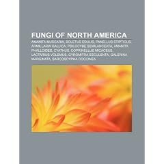 Fungi of North America: Amanita Muscaria, Boletus Edulis, Panellus Stipticus, Armillaria Gallica, Psilocybe Semilanceata, Amanita Phalloides