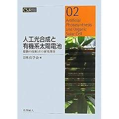�l�H�������ƗL�@�n���z�d�r (CSJ Current Review)