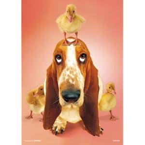 【クリックで詳細表示】世界最小マイクロピース 300ピース お気にいり S73-507