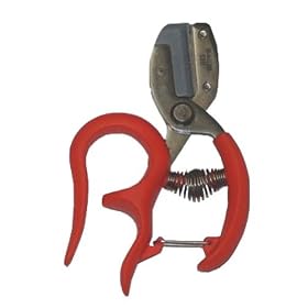 �T�{�e�� ���肪�g������n�� ���� 1317