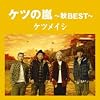 �P�c�̗�~�HBEST~�y���匔�����z(�ʏ��)