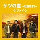�P�c�̗�~�HBEST~�y���匔�����z(�ʏ��)
