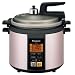 Panasonic �}�C�R���d�C���͂Ȃ� �s���N SR-P37-P