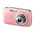 Panasonic �f�W�^���J���� LUMIX S1 �s���N DMC-S1-P
