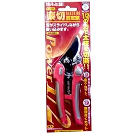 �T�{�e�� �y�ؙ����� �����p 1371