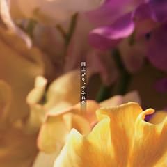 �J�オ��A���݂�F