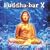 Buddha-Bar, Vol. 10