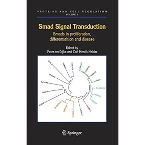 【クリックで詳細表示】Smad Signal Transduction： Smads in Proliferation， Differentiation and Disease (Proteins and Cell Regulation) [ペーパーバック]