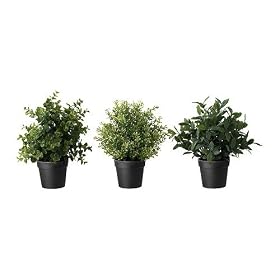 FEJKA / ���Ԕ��A�� / �n�[�u, �A�\�[�g�v�����c[�C�P�A]IKEA(50191993)