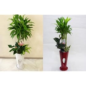 �T���f���A�[�i�񂹐A���i�z���C�g�j�^�T���f���A�[�i�񂹐A���i���b�h�j�@�z���C�g�E���b�h�i������������E�Ԍ���������j�Q���Z�b�g�@�Ƃ��Ă��I�V�����ȃf�U�C�����Ɋ񂹐A�����������ȃZ�b�g�ł��B���N�̂����g���̔��͂������̃C���e���A��A�M�t�g�A���Ε�A���N��Ȃǂɂ��������߂ł��B