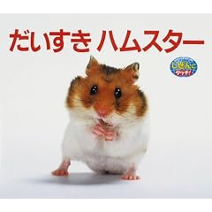 ���������n���X�^�[ (������Ƀ^�b�`!)
