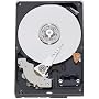WESTERN DIGITAL 3.5�C���`����HDD 1TB IntelliSeek 32MB SATA 3.5inch(GP333) WD10EADS