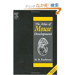 The Atlas of Mouse Development