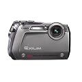 CASIO �f�W�^���J���� EXILIM-G �V���o�[ EX-G1SR