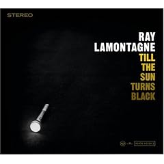 Till the Sun Turns Black