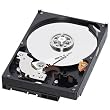 WESTERN DIGITAL 3.5�C���`����HDD 500GB SATA/6.0Gb 7200rpm 16MB WD5000AAKX-R