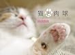 �L�Ɠ��� CALENDAR 2011 (�m�J�����_-�n)