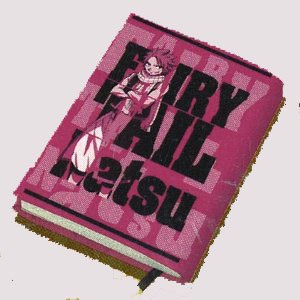  タイトーくじ本舗 フェアリーテイル みんなでハッピー F賞 ブックカバー ナツ 単品