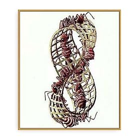 �|�X�^�[ MC �G�b�V���[ Mobius Strip �z���� �E�b�h�x�[�V�b�N�t���[���i�I�����W�j