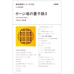 �Q�[�W��̗ʎq�_�q2�r (�V�����w�V���[�Y)