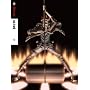 D.Gray-man 2nd stage 10 [DVD]