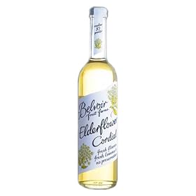 �I�[�K�j�b�N�R�[�f�B�A���@�G���_�[�t�����[�i500ml�j(��߃^�C�v)