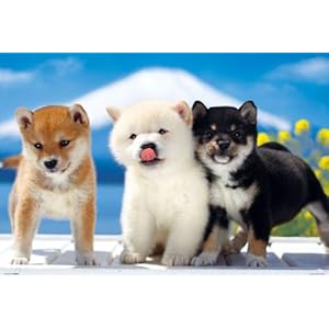 【クリックで詳細表示】1000ピース 富士山って大きいね！ (柴犬) P71-376