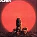 Cactus (Reis)