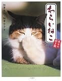 ��炢�˂� �K���̏����L