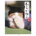 ��炢�˂� �K���̏����L